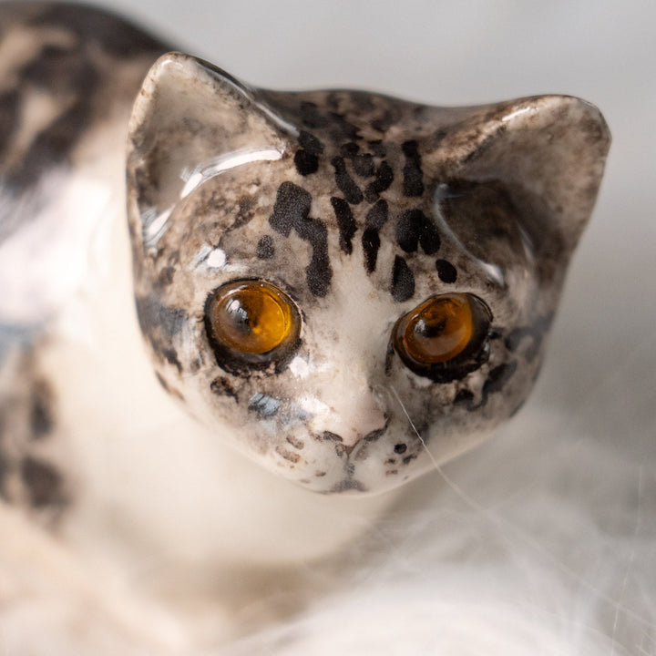 【Winstanley Cat ウィンスタンレイ キャット】じっとこちらを窺うような表情が印象的 シルバータビー サバトラ猫 /25L