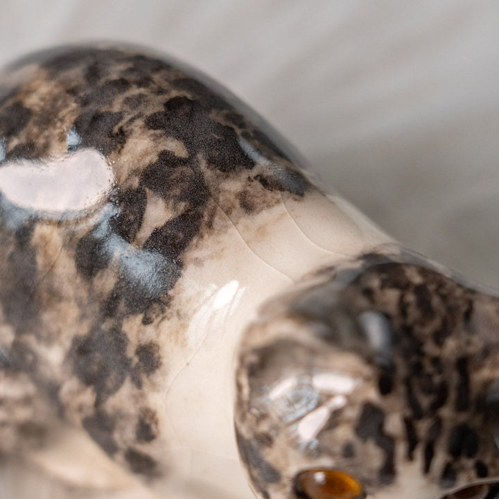 【Winstanley Cat ウィンスタンレイ キャット】じっとこちらを窺うような表情が印象的 シルバータビー サバトラ猫 /25L