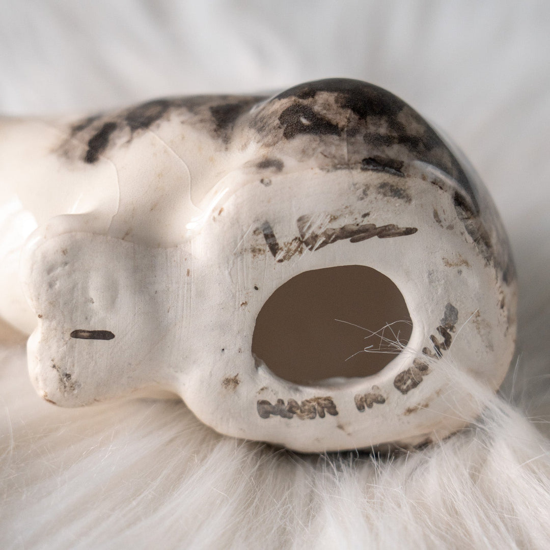 【Winstanley Cat ウィンスタンレイ キャット】じっとこちらを窺うような表情が印象的 シルバータビー サバトラ猫 /25L