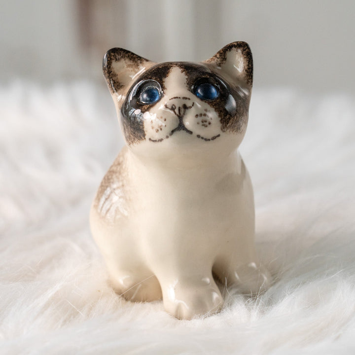 【Winstanley Cat ウィンスタンレイ キャット】丸々したフォルムがキュート ブルーアイ サイアミーズ シャム猫 /25L