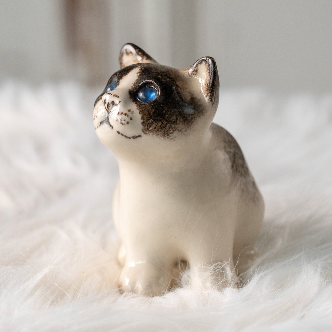 【Winstanley Cat ウィンスタンレイ キャット】丸々したフォルムがキュート ブルーアイ サイアミーズ シャム猫 /25L