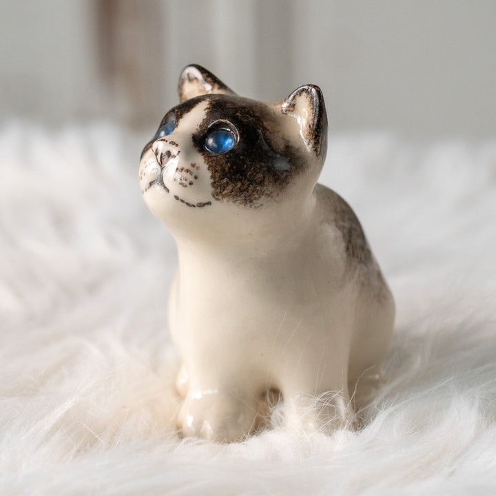 【Winstanley Cat ウィンスタンレイ キャット】丸々したフォルムがキュート ブルーアイ サイアミーズ シャム猫 /25L