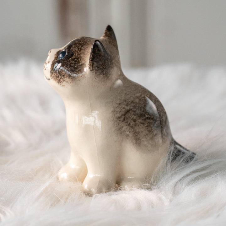 【Winstanley Cat ウィンスタンレイ キャット】丸々したフォルムがキュート ブルーアイ サイアミーズ シャム猫 /25L