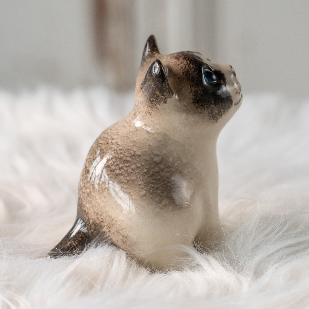 【Winstanley Cat ウィンスタンレイ キャット】丸々したフォルムがキュート ブルーアイ サイアミーズ シャム猫 /25L