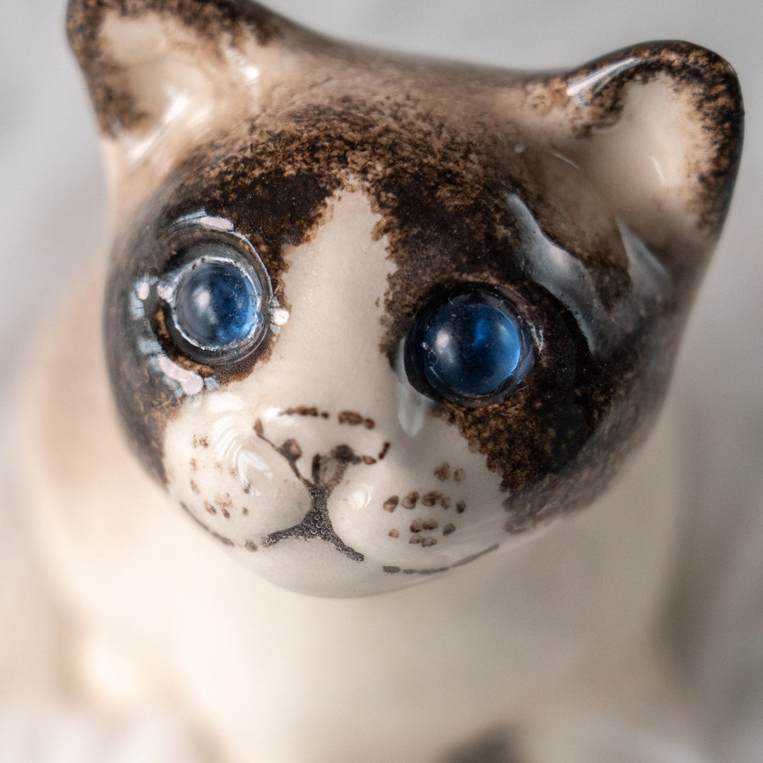 【Winstanley Cat ウィンスタンレイ キャット】丸々したフォルムがキュート ブルーアイ サイアミーズ シャム猫 /25L