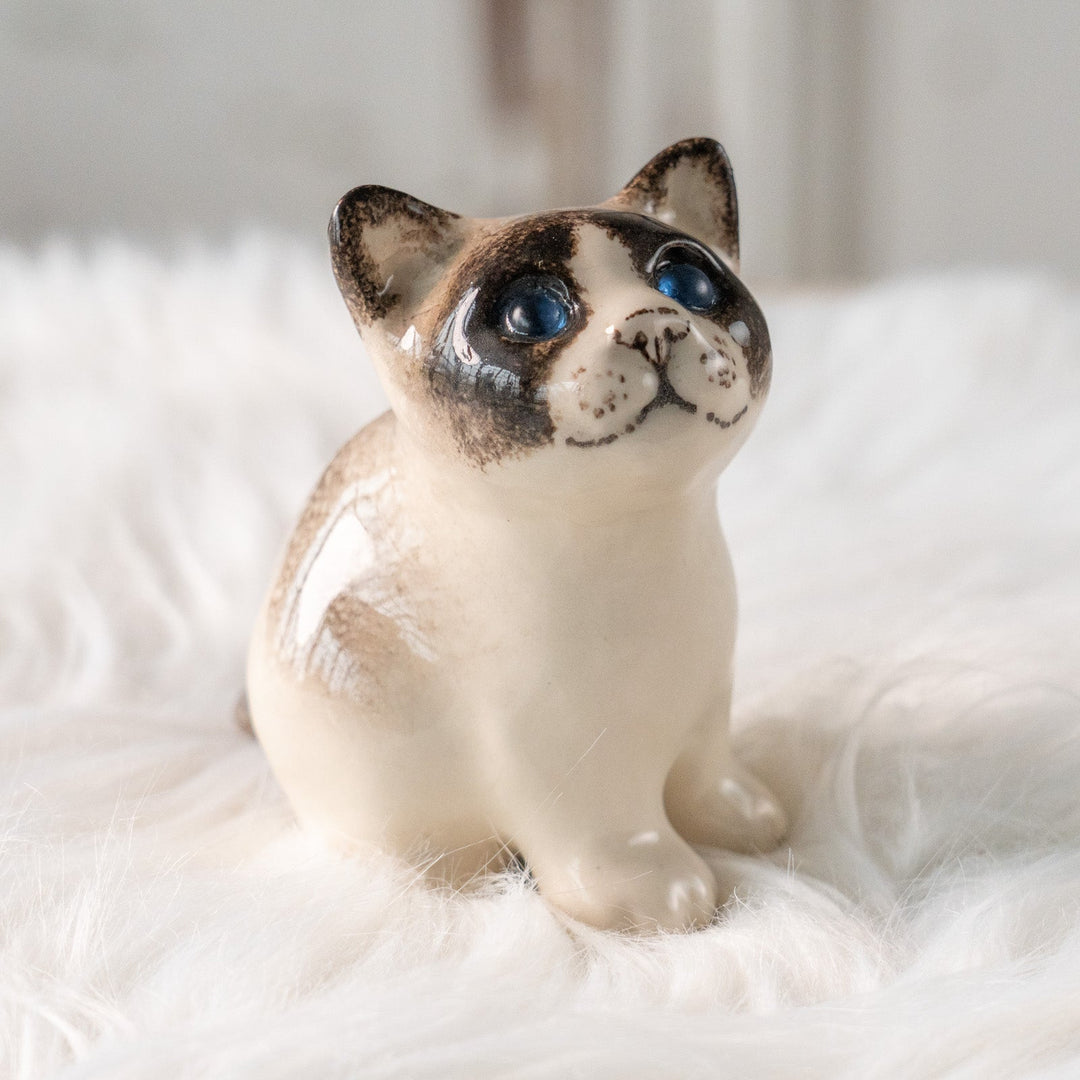 【Winstanley Cat ウィンスタンレイ キャット】丸々したフォルムがキュート ブルーアイ サイアミーズ シャム猫 /25L