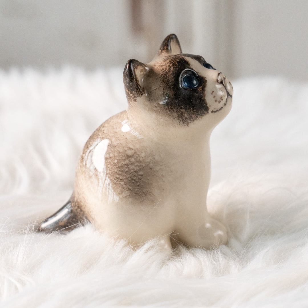 【Winstanley Cat ウィンスタンレイ キャット】丸々したフォルムがキュート ブルーアイ サイアミーズ シャム猫 /25L