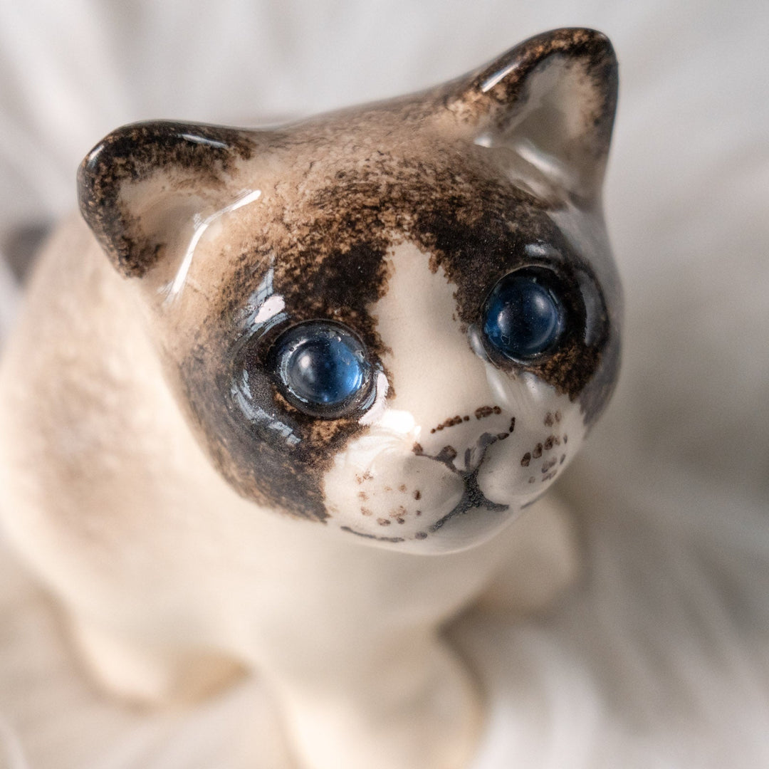【Winstanley Cat ウィンスタンレイ キャット】丸々したフォルムがキュート ブルーアイ サイアミーズ シャム猫 /25L