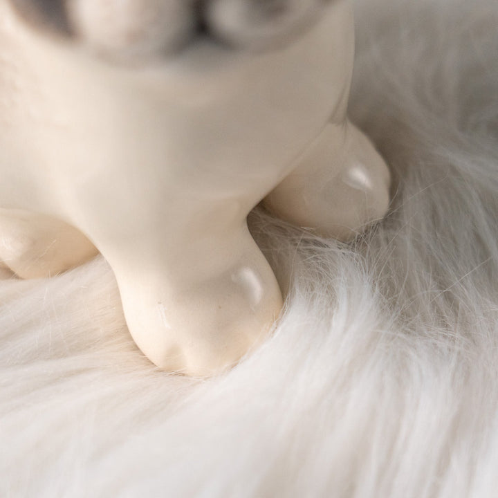 【Winstanley Cat ウィンスタンレイ キャット】丸々したフォルムがキュート ブルーアイ サイアミーズ シャム猫 /25L