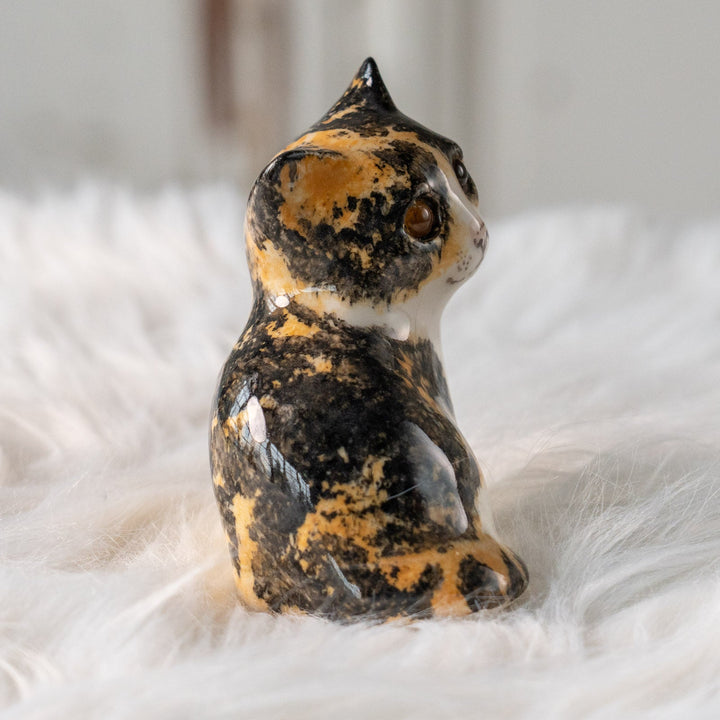 【Winstanley Cat ウィンスタンレイ キャット】興味深げに眺める姿が可愛らしい キャリコ 三毛猫 /25L