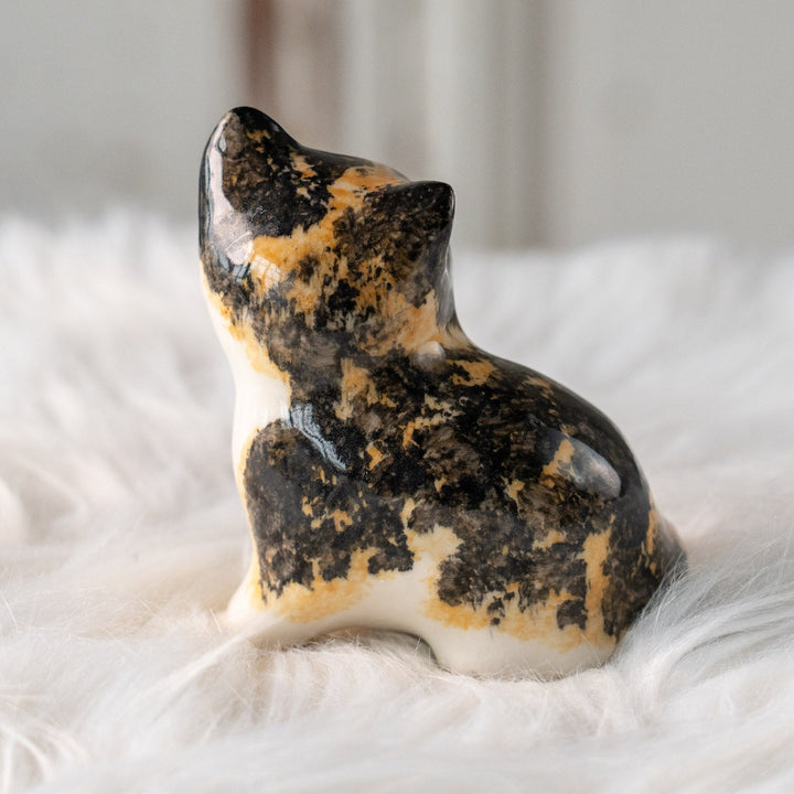 【Winstanley Cat ウィンスタンレイ キャット】興味深げに眺める姿が可愛らしい キャリコ 三毛猫 /25L