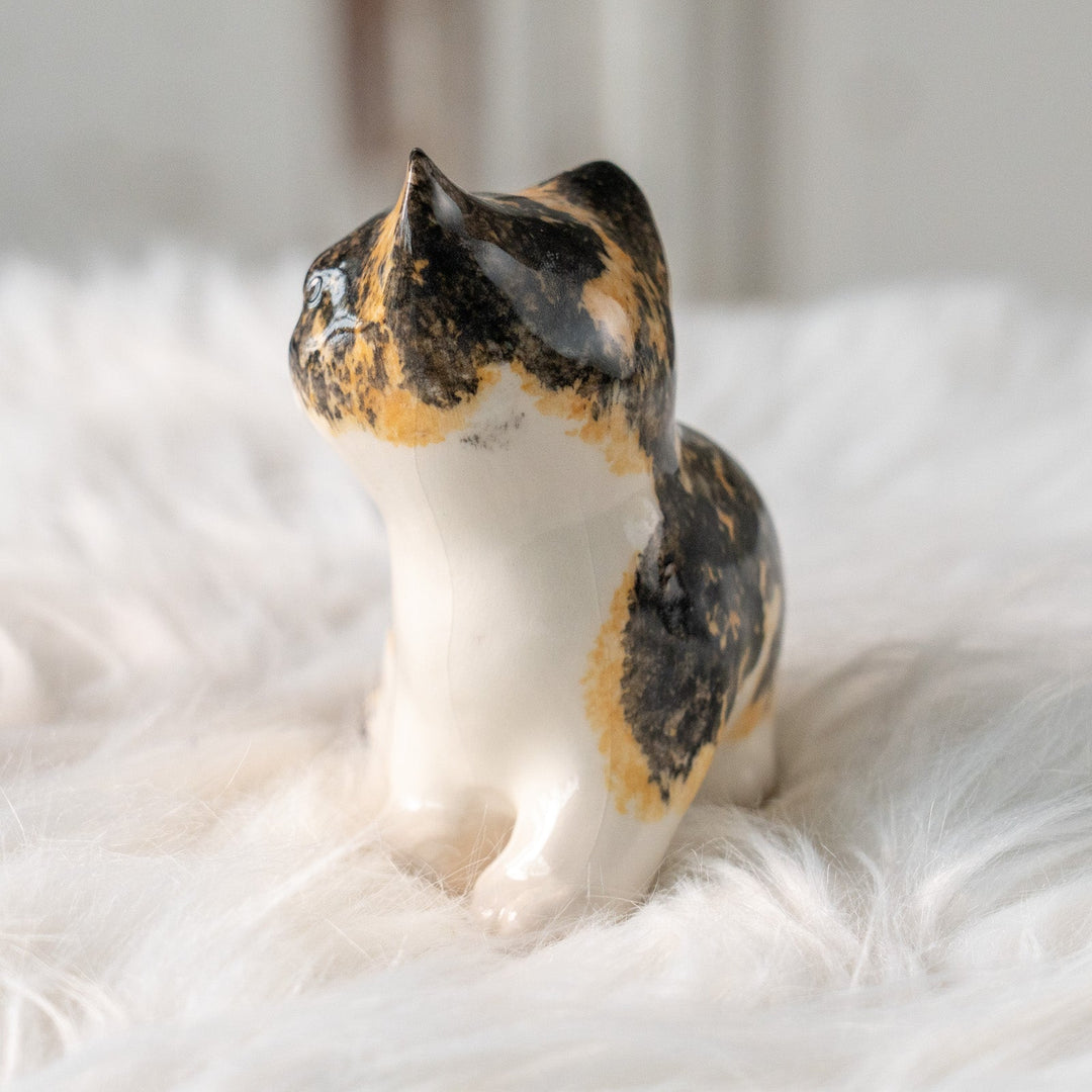 【Winstanley Cat ウィンスタンレイ キャット】興味深げに眺める姿が可愛らしい キャリコ 三毛猫 /25L