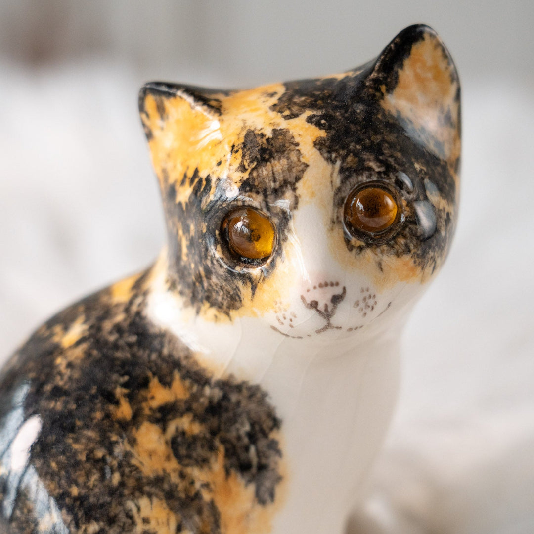 【Winstanley Cat ウィンスタンレイ キャット】興味深げに眺める姿が可愛らしい キャリコ 三毛猫 /25L