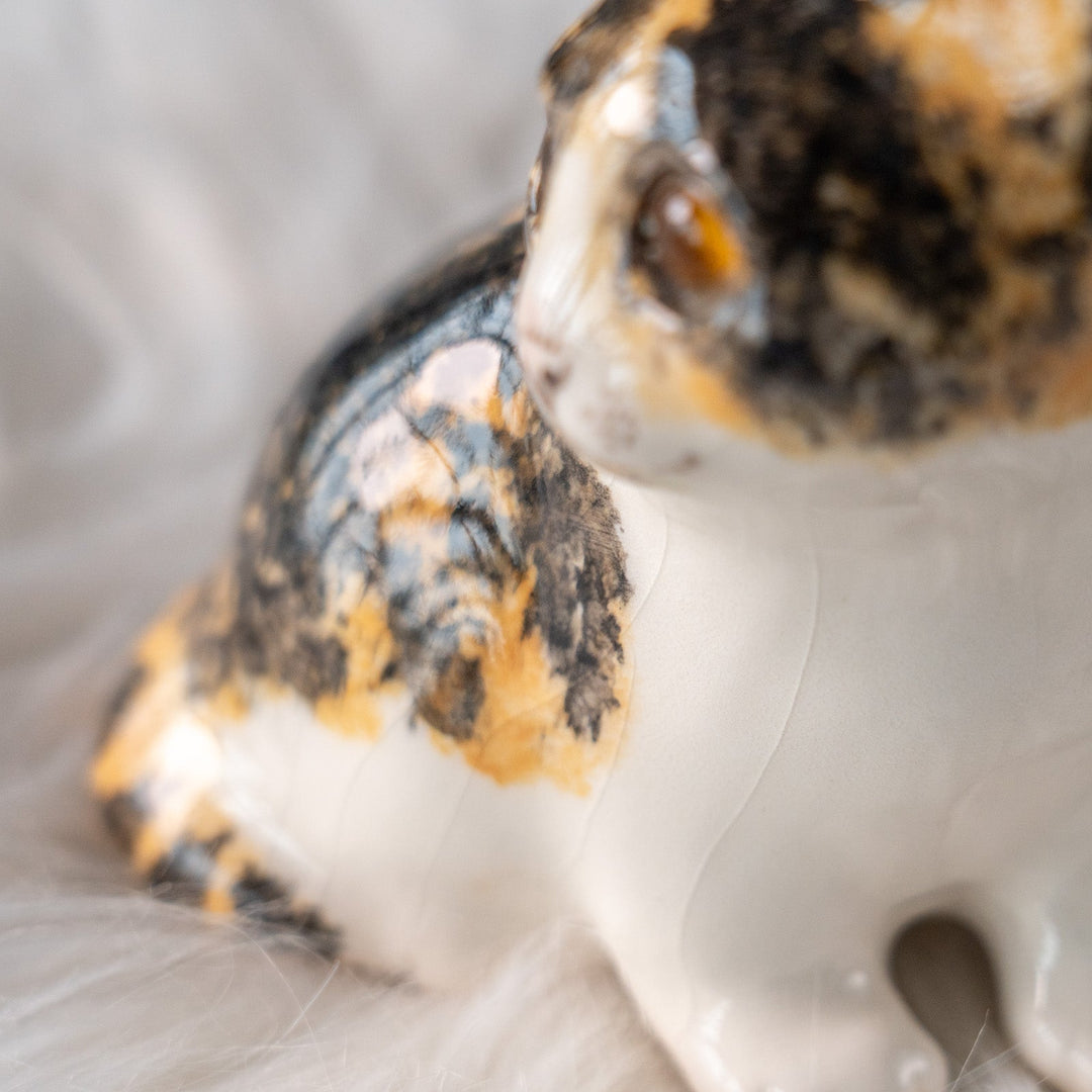 【Winstanley Cat ウィンスタンレイ キャット】興味深げに眺める姿が可愛らしい キャリコ 三毛猫 /25L