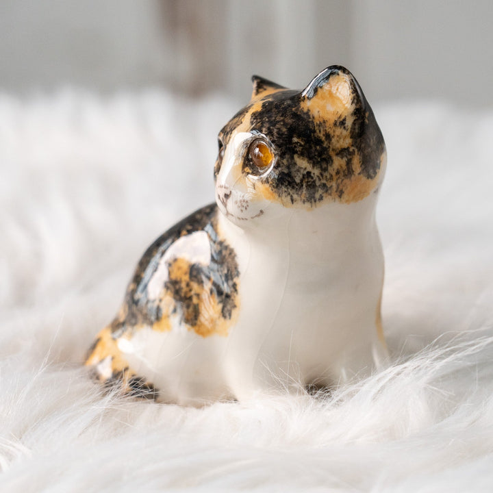 【Winstanley Cat ウィンスタンレイ キャット】興味深げに眺める姿が可愛らしい キャリコ 三毛猫 /25L