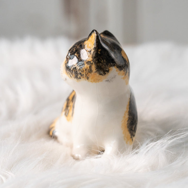 【Winstanley Cat ウィンスタンレイ キャット】興味深げに眺める姿が可愛らしい キャリコ 三毛猫 /25L