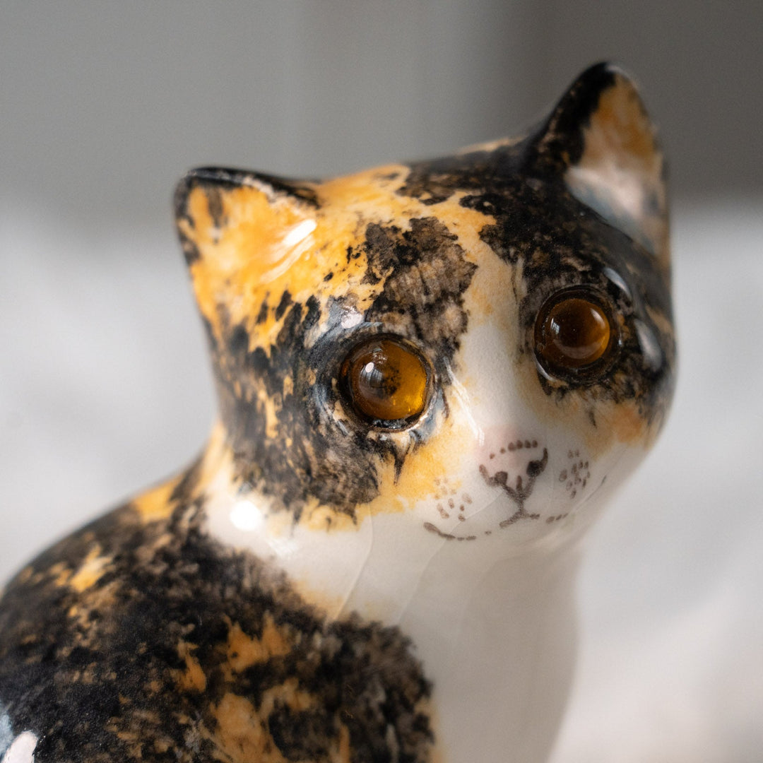 【Winstanley Cat ウィンスタンレイ キャット】興味深げに眺める姿が可愛らしい キャリコ 三毛猫 /25L