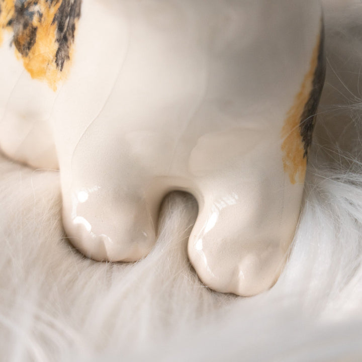 【Winstanley Cat ウィンスタンレイ キャット】興味深げに眺める姿が可愛らしい キャリコ 三毛猫 /25L