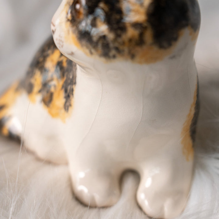 【Winstanley Cat ウィンスタンレイ キャット】興味深げに眺める姿が可愛らしい キャリコ 三毛猫 /25L