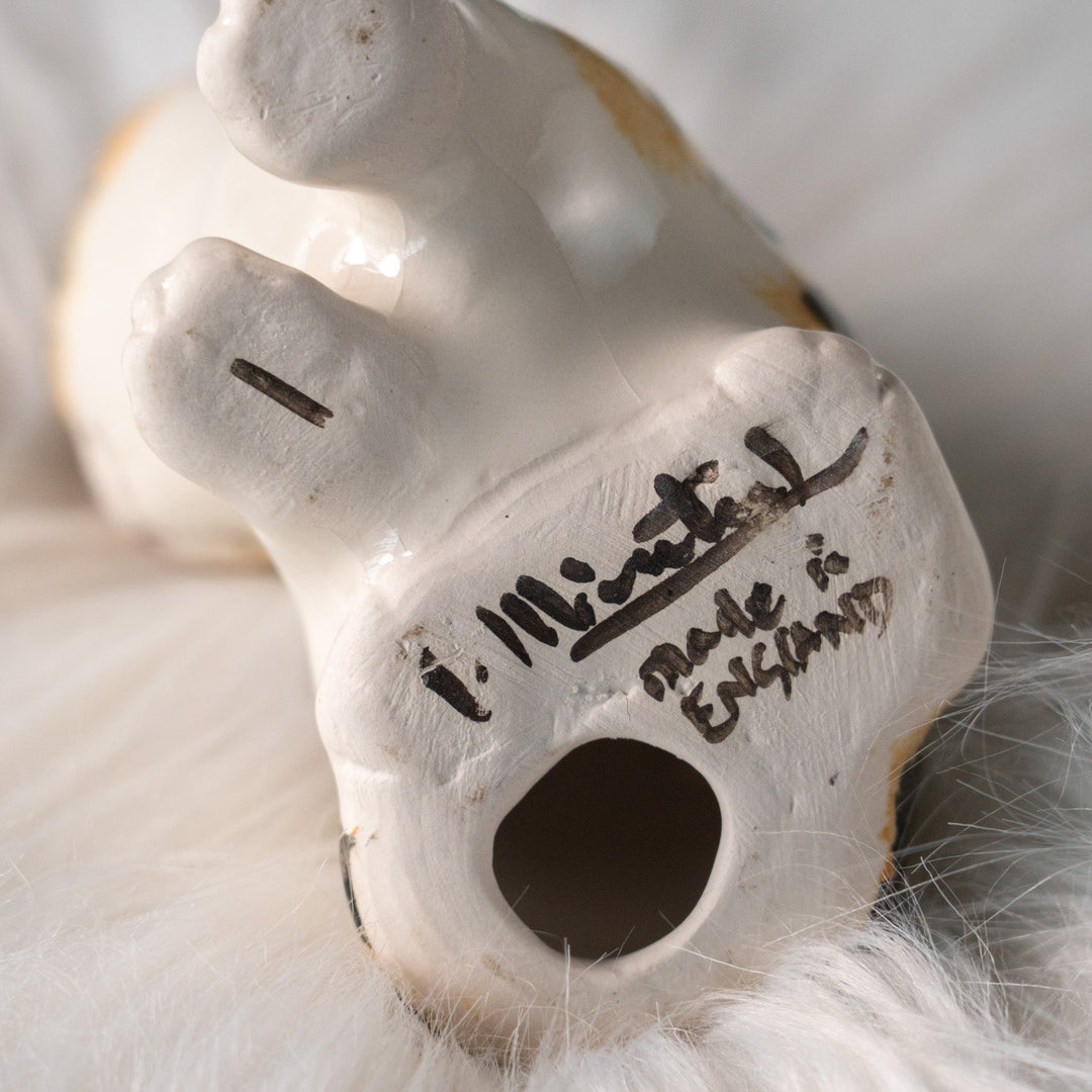 【Winstanley Cat ウィンスタンレイ キャット】興味深げに眺める姿が可愛らしい キャリコ 三毛猫 /25L