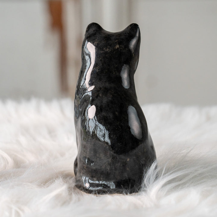 【Winstanley Cat ウィンスタンレイ キャット】愛嬌のある表情や柄が目を惹く タキシード 白黒猫 /25L-A