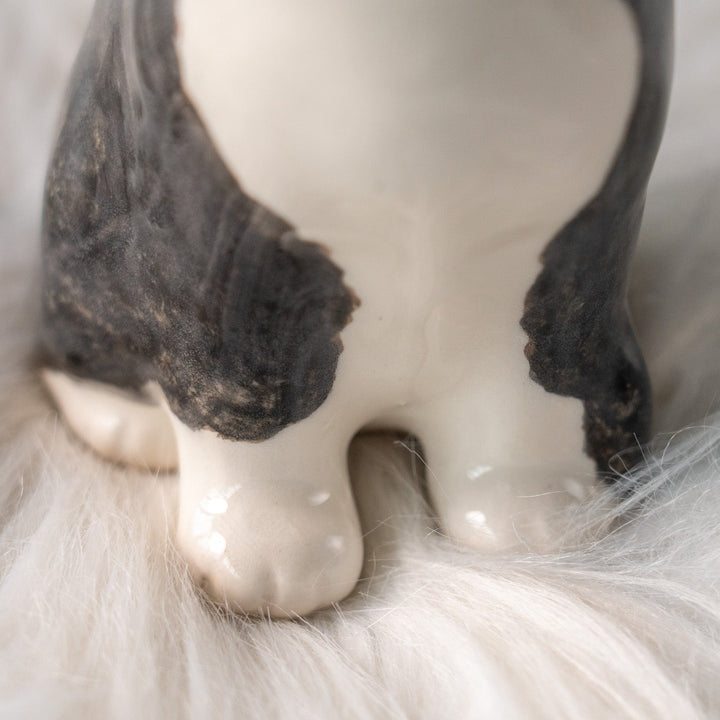 【Winstanley Cat ウィンスタンレイ キャット】愛嬌のある表情や柄が目を惹く タキシード 白黒猫 /25L-A