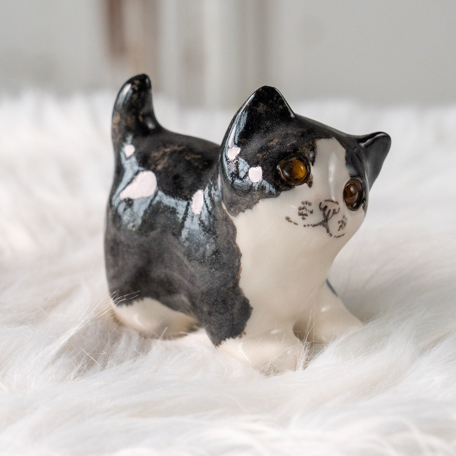 猫 白黒 タキシード うちの猫ってタキシードキャット それともただの