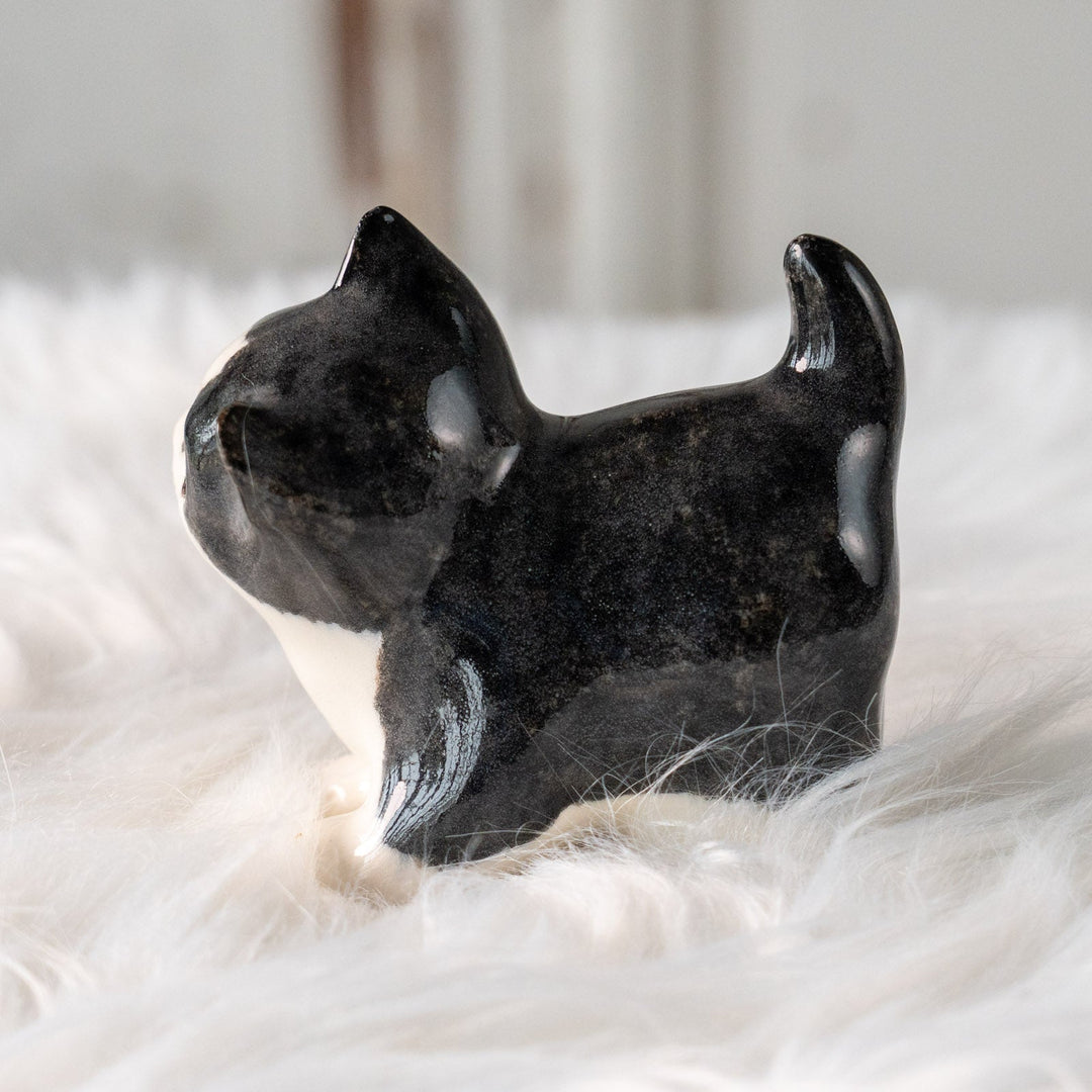 【Winstanley Cat ウィンスタンレイ キャット】ちらりと見上げるイタズラっぽい表情にときめく タキシード 白黒猫 /25L