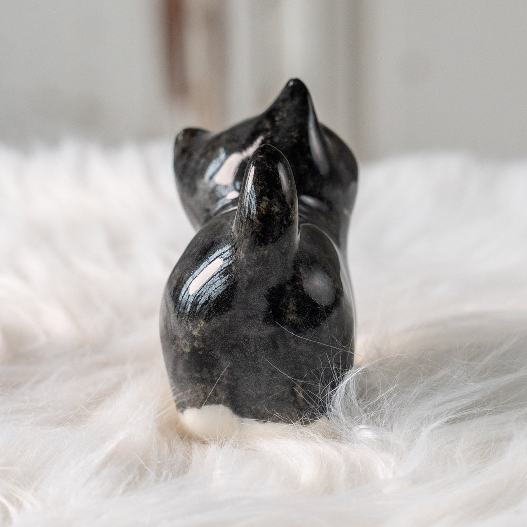 【Winstanley Cat ウィンスタンレイ キャット】ちらりと見上げるイタズラっぽい表情にときめく タキシード 白黒猫 /25L