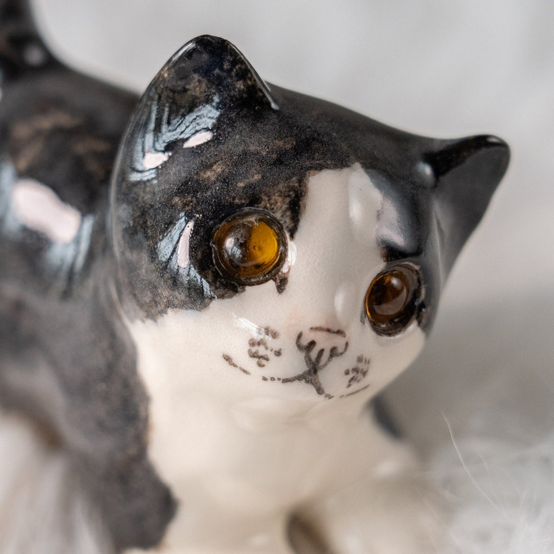 【Winstanley Cat ウィンスタンレイ キャット】ちらりと見上げるイタズラっぽい表情にときめく タキシード 白黒猫 /25L