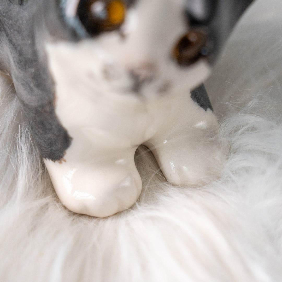 【Winstanley Cat ウィンスタンレイ キャット】ちらりと見上げるイタズラっぽい表情にときめく タキシード 白黒猫 /25L