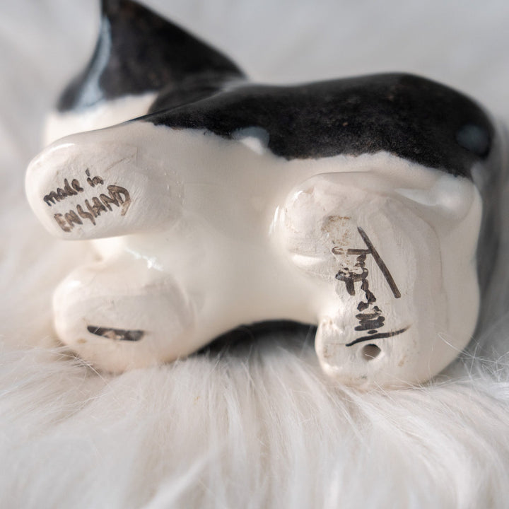 【Winstanley Cat ウィンスタンレイ キャット】ちらりと見上げるイタズラっぽい表情にときめく タキシード 白黒猫 /25L