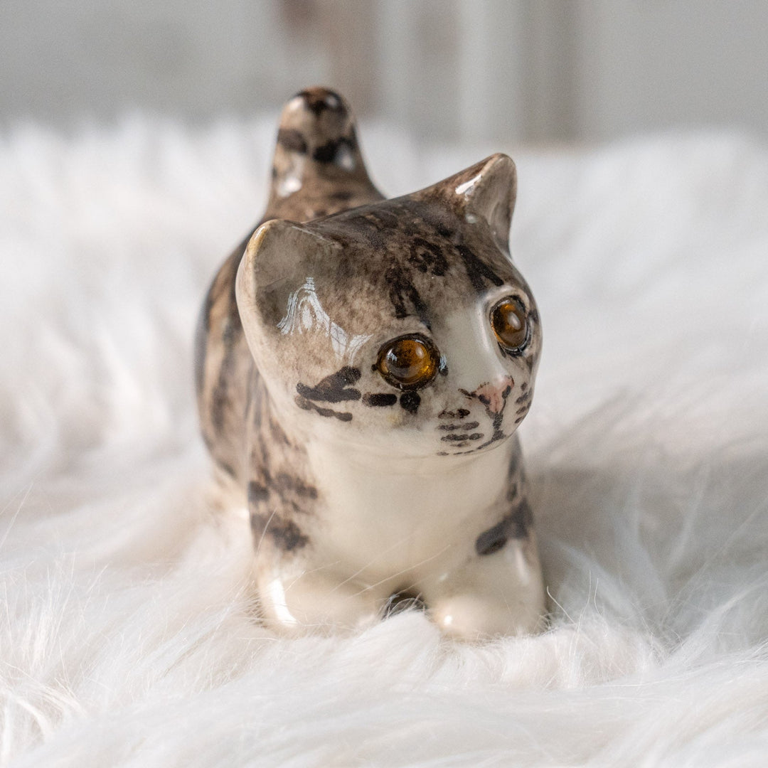 【Winstanley Cat ウィンスタンレイ キャット】クリームパンの様な手が愛らしい シルバータビー サバトラ猫 /25L