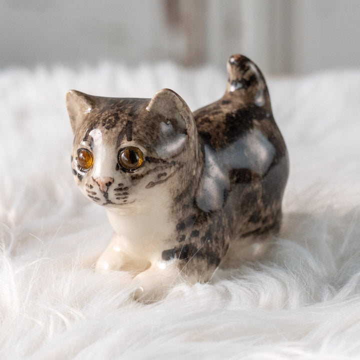 【Winstanley Cat ウィンスタンレイ キャット】クリームパンの様な手が愛らしい シルバータビー サバトラ猫 /25L