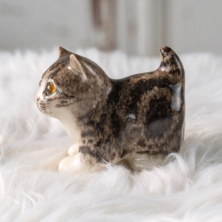 【Winstanley Cat ウィンスタンレイ キャット】クリームパンの様な手が愛らしい シルバータビー サバトラ猫 /25L