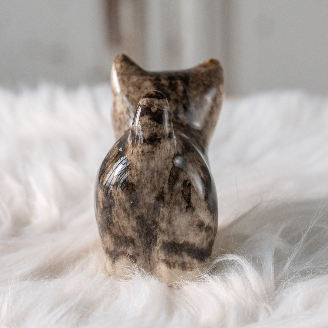 【Winstanley Cat ウィンスタンレイ キャット】クリームパンの様な手が愛らしい シルバータビー サバトラ猫 /25L