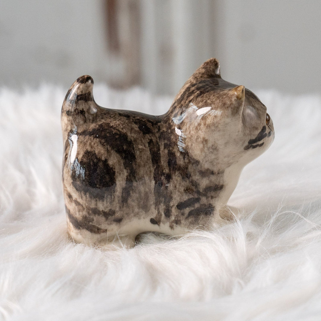 【Winstanley Cat ウィンスタンレイ キャット】クリームパンの様な手が愛らしい シルバータビー サバトラ猫 /25L