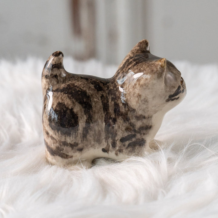 【Winstanley Cat ウィンスタンレイ キャット】クリームパンの様な手が愛らしい シルバータビー サバトラ猫 /25L