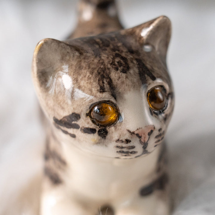 【Winstanley Cat ウィンスタンレイ キャット】クリームパンの様な手が愛らしい シルバータビー サバトラ猫 /25L