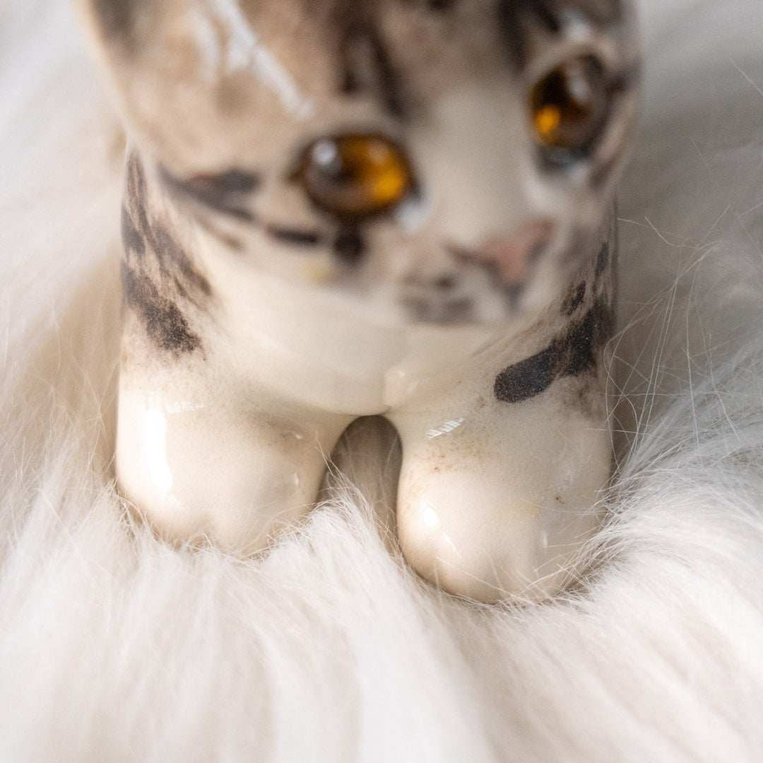 【Winstanley Cat ウィンスタンレイ キャット】クリームパンの様な手が愛らしい シルバータビー サバトラ猫 /25L