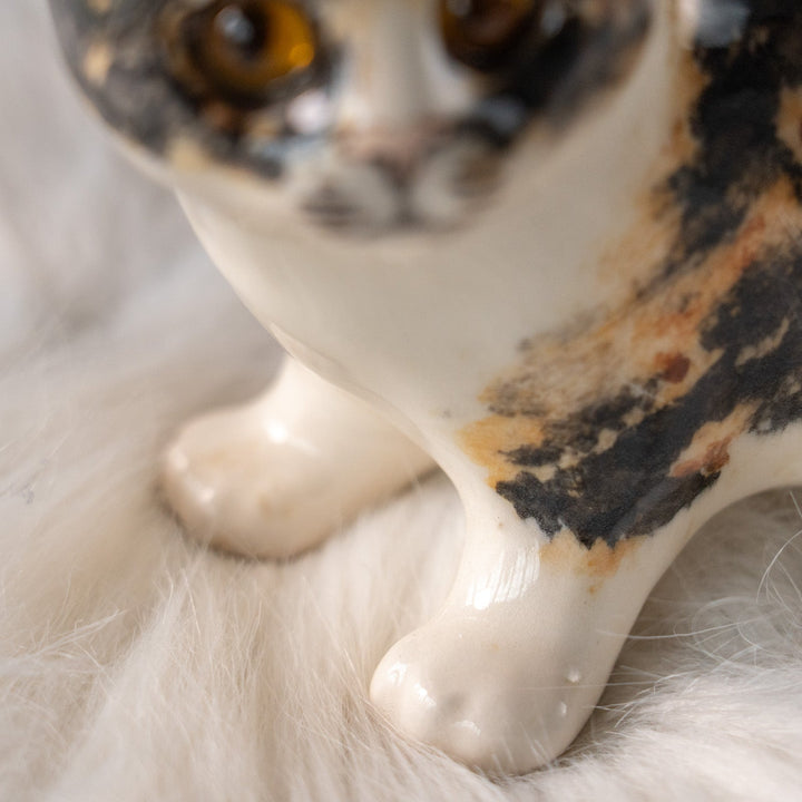 【Winstanley Cat ウィンスタンレイ キャット】ちょこんとした尻尾がキュート キャリコ 三毛猫 /25L