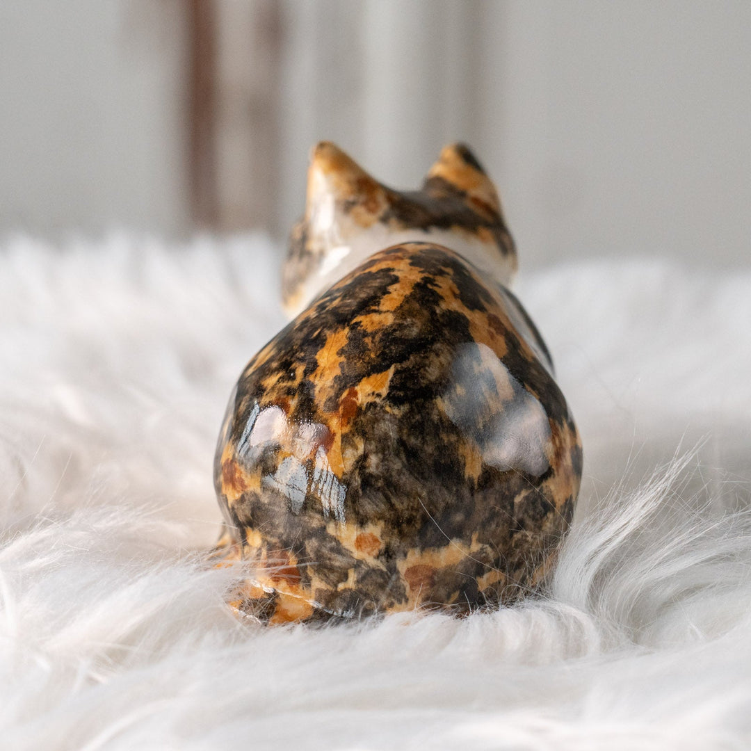 【Winstanley Cat ウィンスタンレイ キャット】姿勢を低くして獲物を狙う キャリコ 三毛猫 /25L