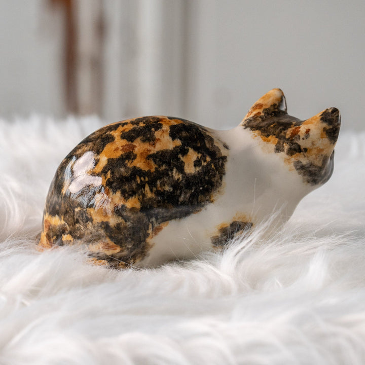 【Winstanley Cat ウィンスタンレイ キャット】姿勢を低くして獲物を狙う キャリコ 三毛猫 /25L