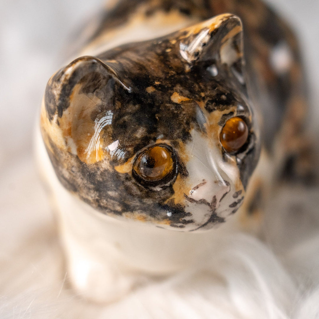 【Winstanley Cat ウィンスタンレイ キャット】姿勢を低くして獲物を狙う キャリコ 三毛猫 /25L