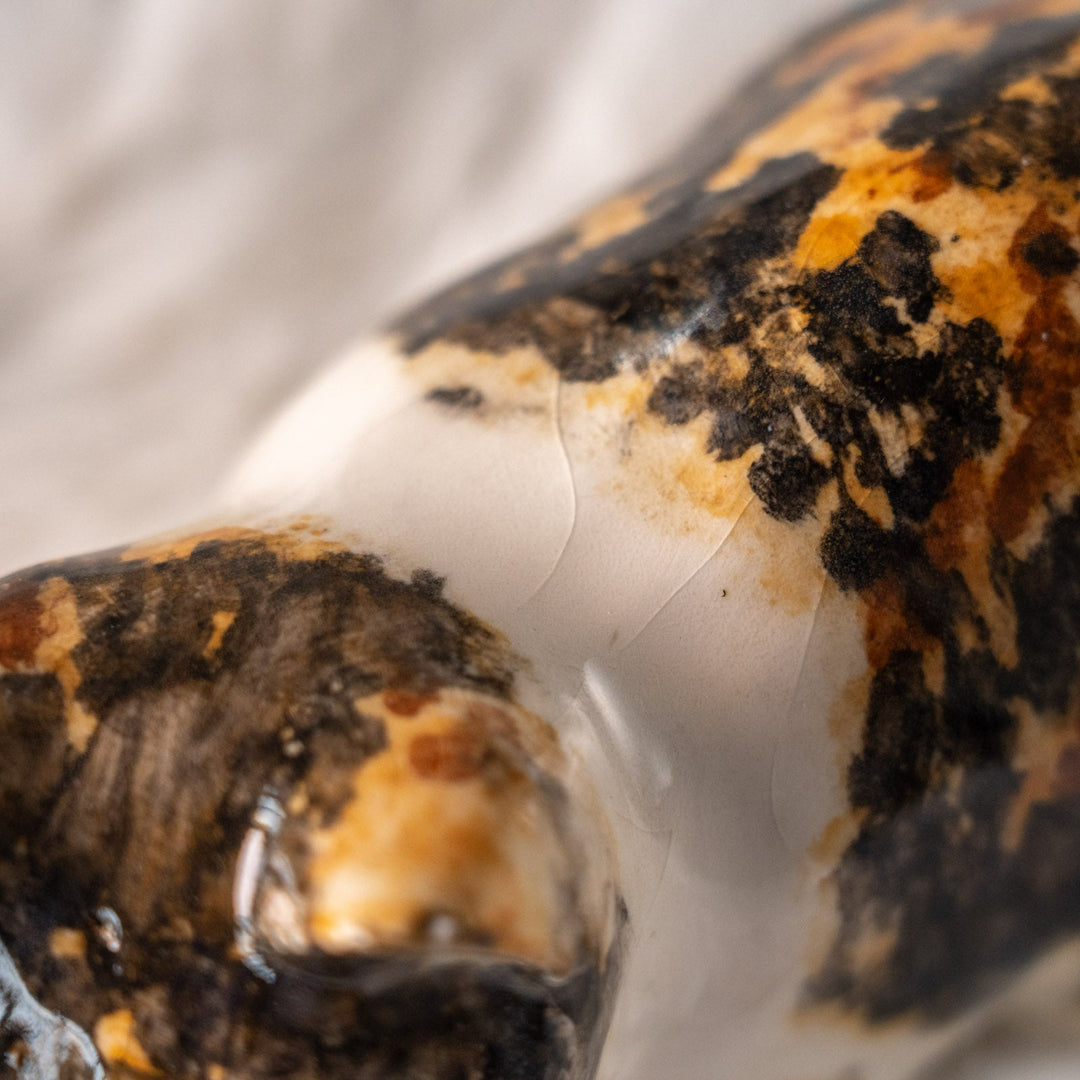 【Winstanley Cat ウィンスタンレイ キャット】姿勢を低くして獲物を狙う キャリコ 三毛猫 /25L