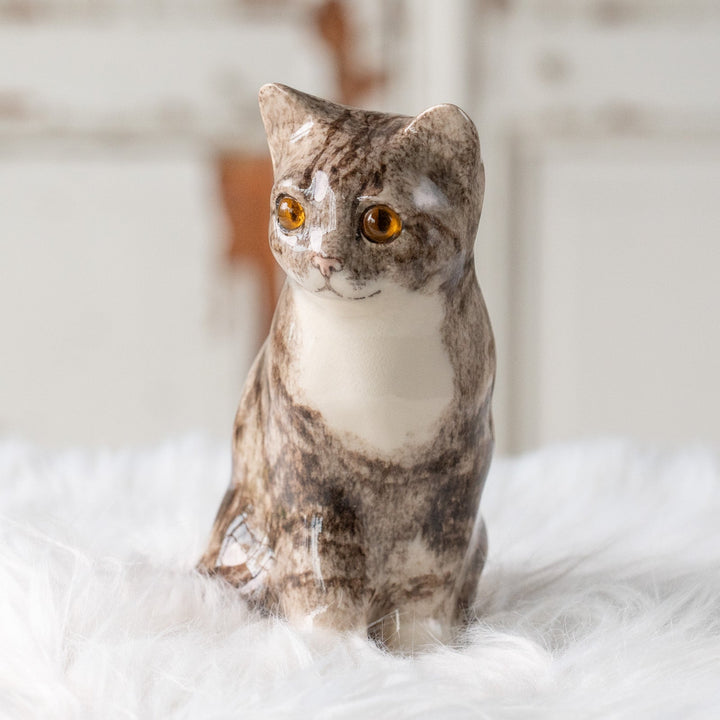 【Winstanley Cat ウィンスタンレイ キャット】きりっとした瞳でこちらを見つめる シルバータビー サバトラ猫 /25L