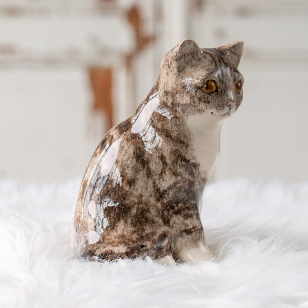 【Winstanley Cat ウィンスタンレイ キャット】きりっとした瞳でこちらを見つめる シルバータビー サバトラ猫 /25L