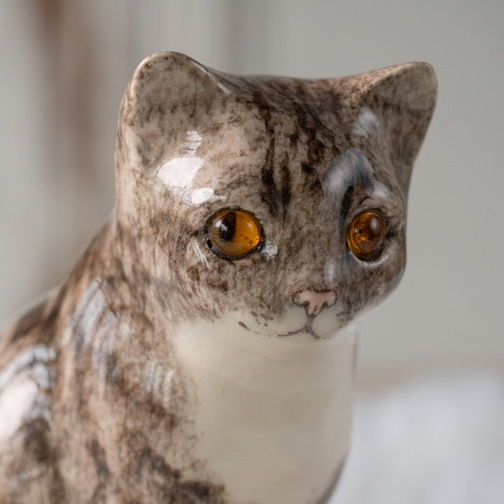 【Winstanley Cat ウィンスタンレイ キャット】きりっとした瞳でこちらを見つめる シルバータビー サバトラ猫 /25L