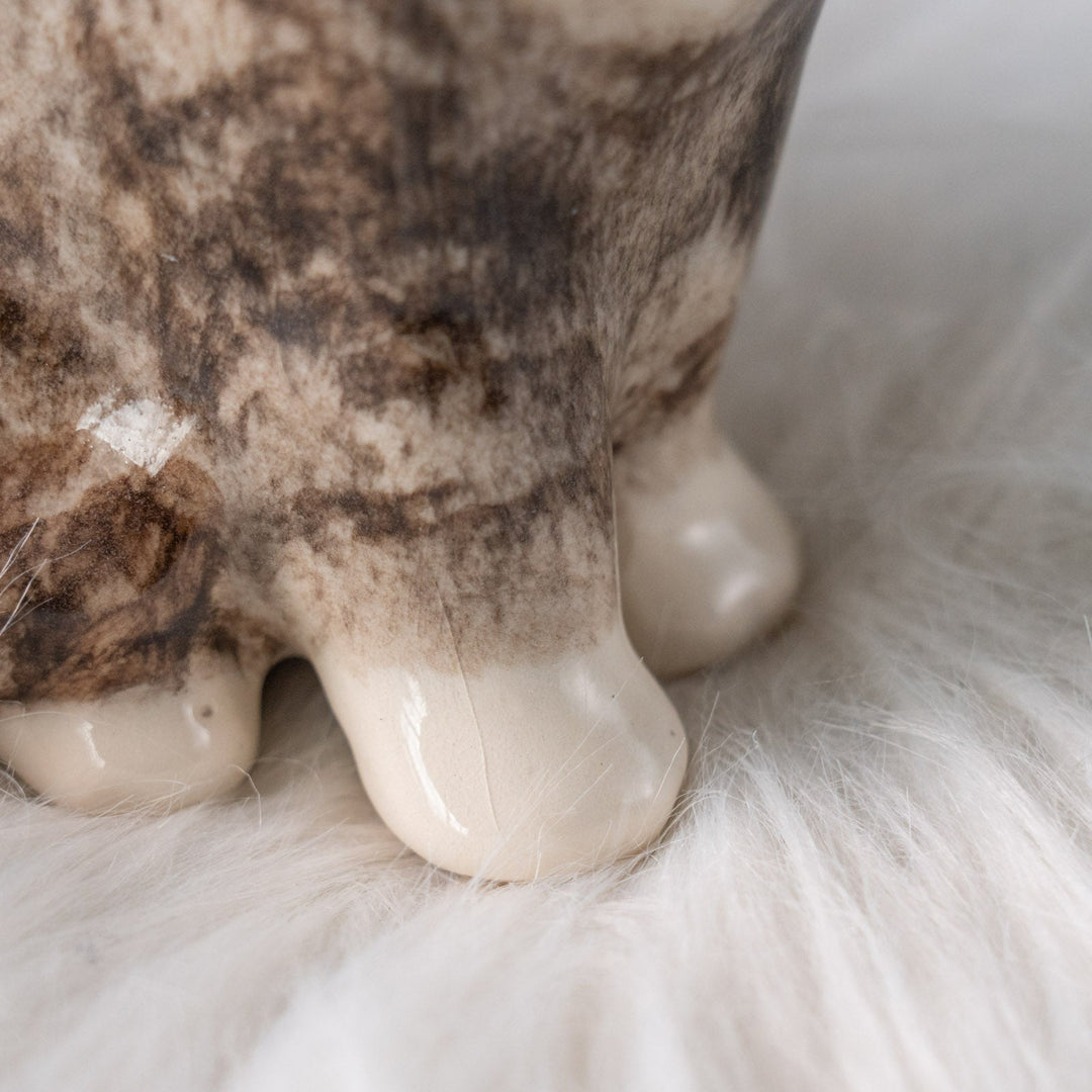 【Winstanley Cat ウィンスタンレイ キャット】きりっとした瞳でこちらを見つめる シルバータビー サバトラ猫 /25L