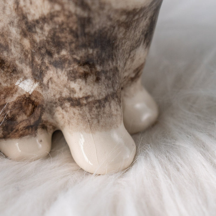 【Winstanley Cat ウィンスタンレイ キャット】きりっとした瞳でこちらを見つめる シルバータビー サバトラ猫 /25L